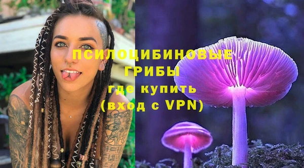 соль ск Пестово