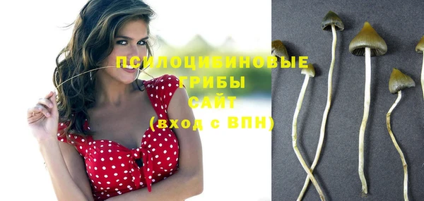 эйфоретик Алексеевка