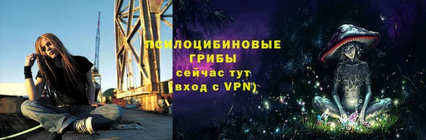 эйфоретик Алексеевка