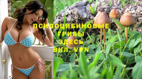 наркотики Алексин